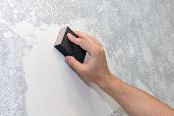 Mold Documentation for Insurance Claims in Claryville, KY
