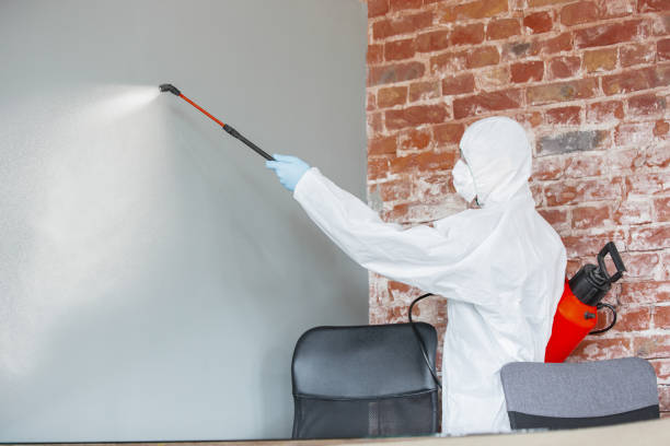 Best Emergency Mold Remediation  in Claryville, KY