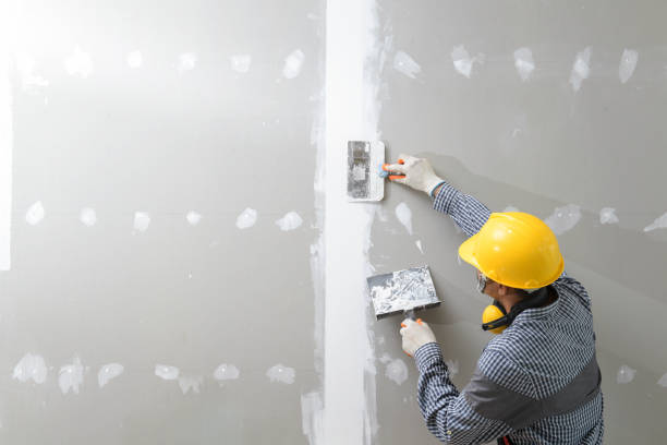 Best Residential Mold Inspection & Testing  in Claryville, KY