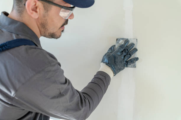 Best Black Mold Removal  in Claryville, KY