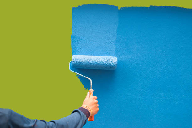 Best Basement Mold Removal  in Claryville, KY